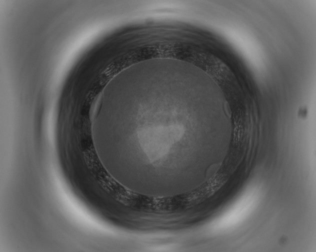 X0000097920383200803141446