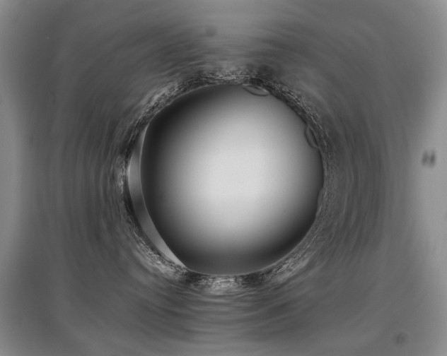 X0000097920384200803141446