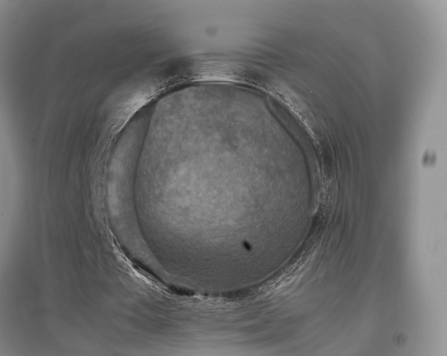 X0000097920385200803141446