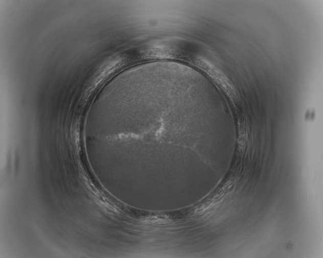 X0000097920386200803141446