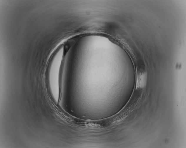 X0000097920387200803141446