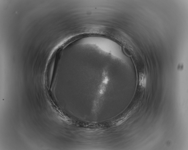 X0000097920388200803141446