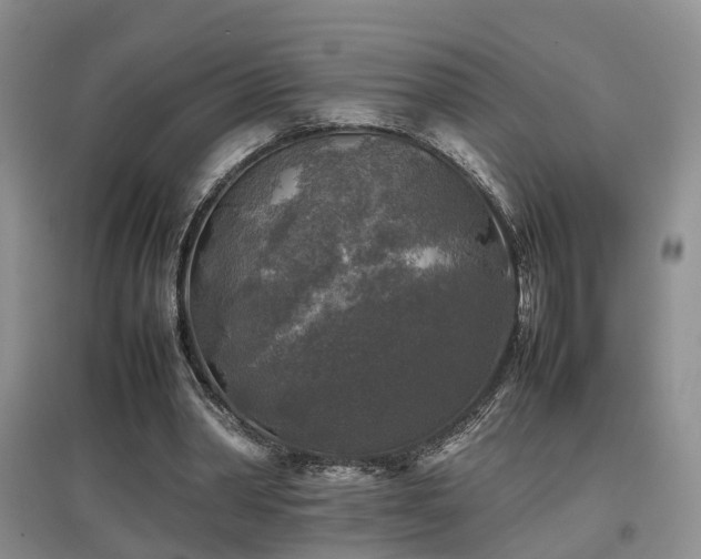 X0000097920390200803141446
