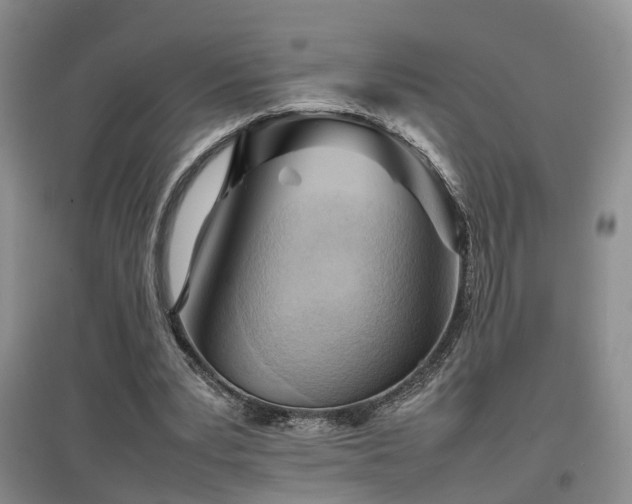 X0000097920391200803141446