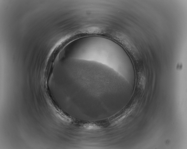 X0000097920392200803141446