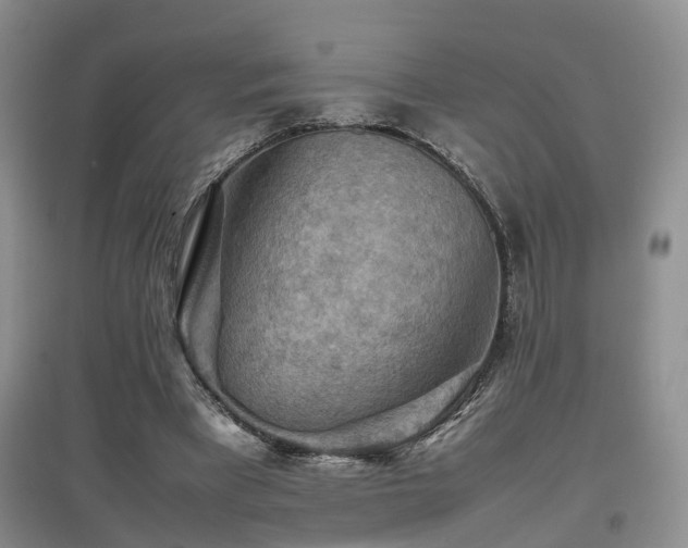 X0000097920393200803141446