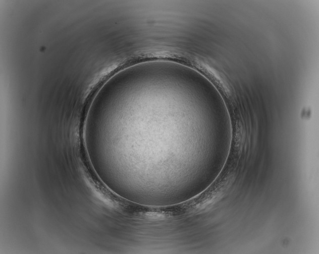 X0000097920394200803141446