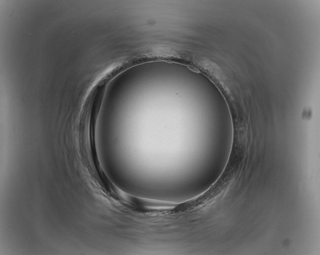 X0000097920395200803141446