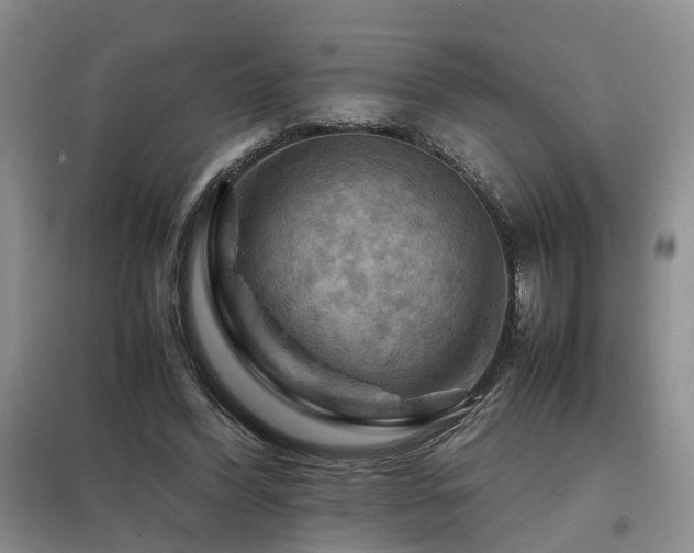 X0000097920396200803141446
