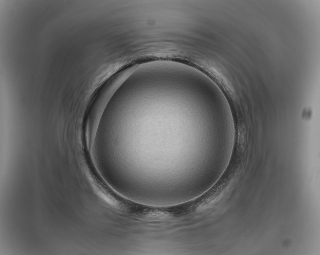 X0000097920397200803141446