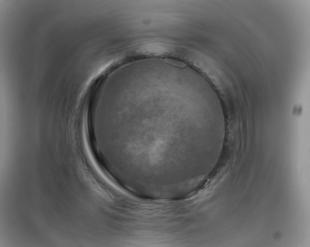 X0000097920399200803141446