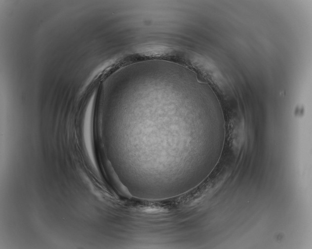 X0000097920400200803141446
