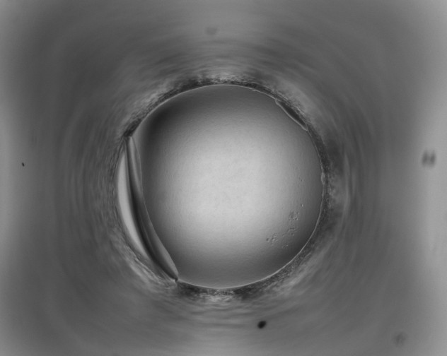 X0000097920401200803141446