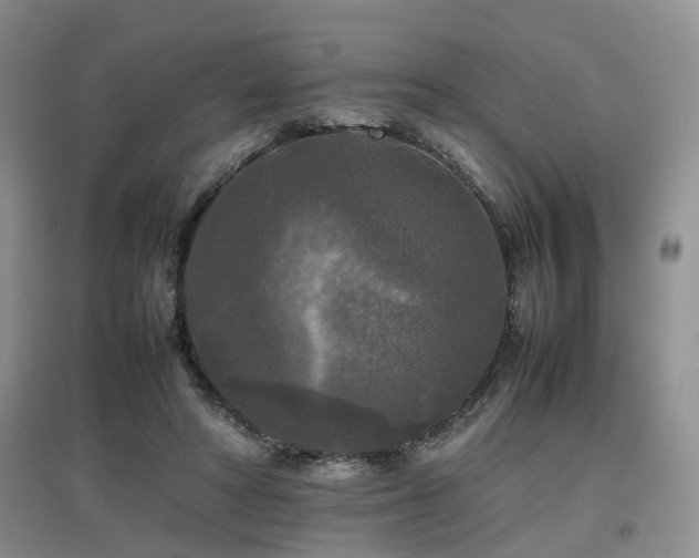 X0000097920402200803141446