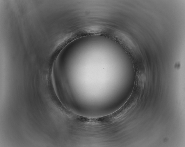 X0000097920404200803141446