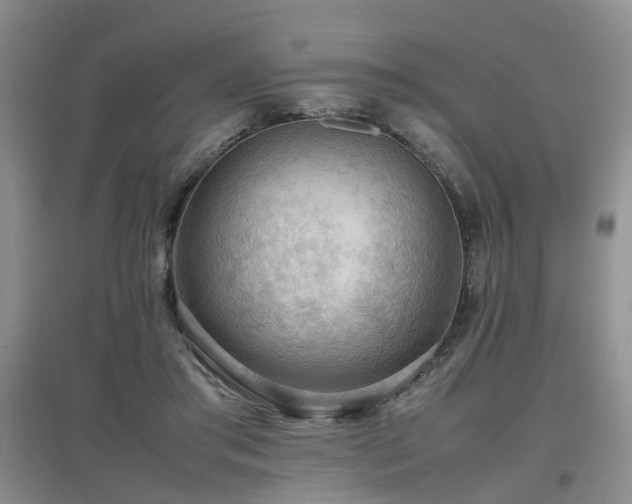 X0000097920405200803141446