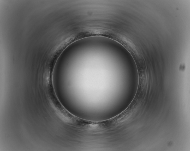 X0000097920406200803141446