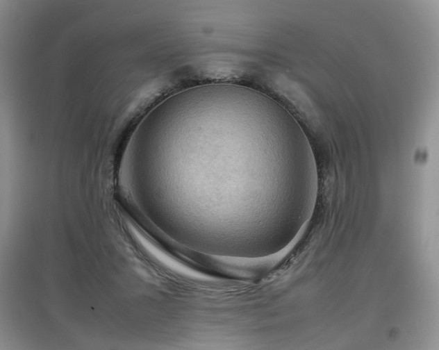 X0000097920407200803141446