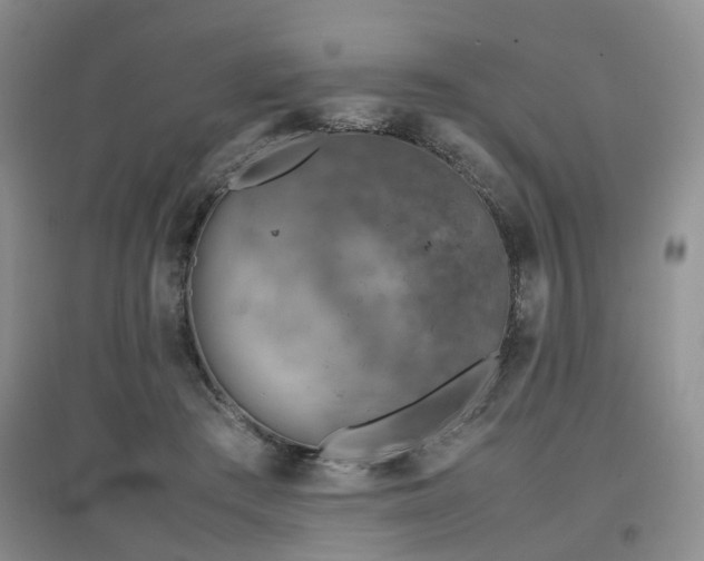 X0000097920409200803141445