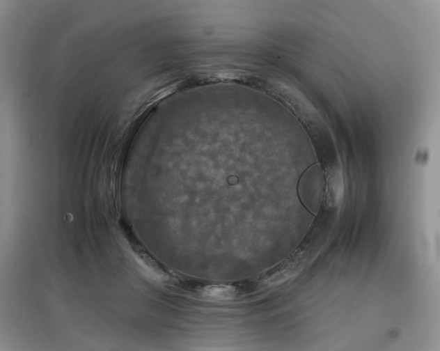 X0000097920410200803141445