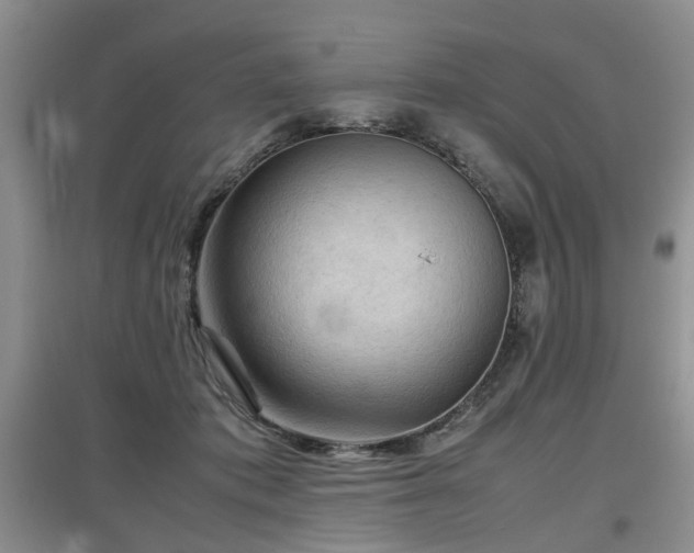 X0000097920413200803141445