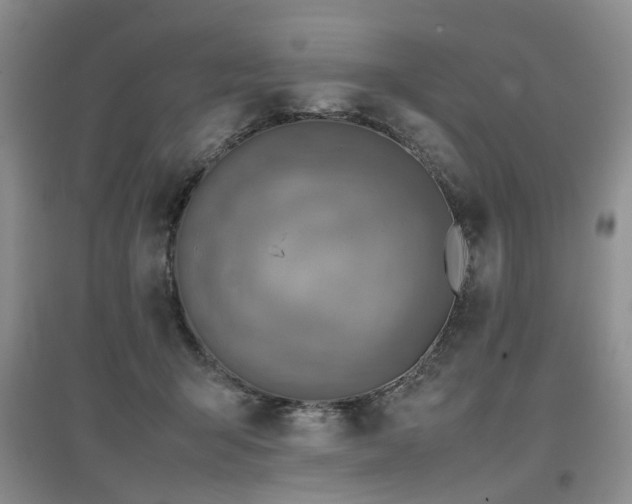 X0000097920415200803141445
