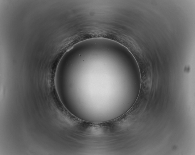 X0000097920416200803141445