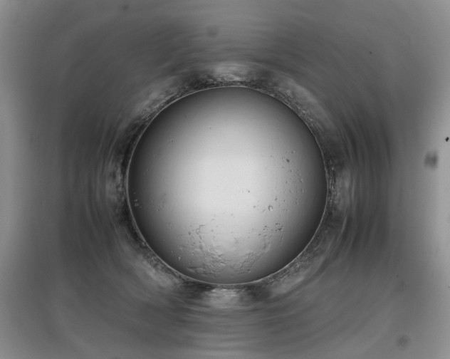 X0000097920418200803141445