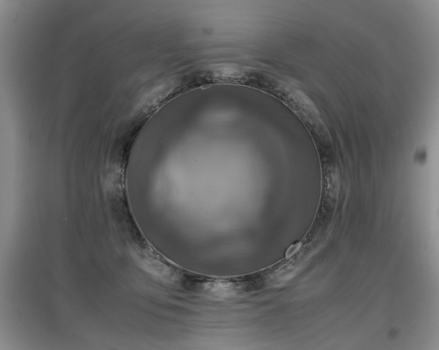 X0000097920419200803141445