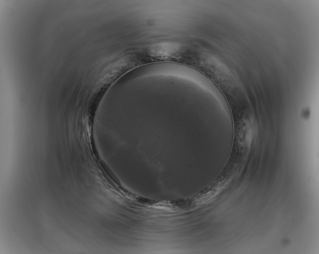 X0000097920420200803141445