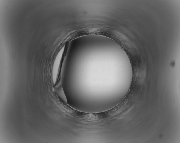 X0000097920421200803141445