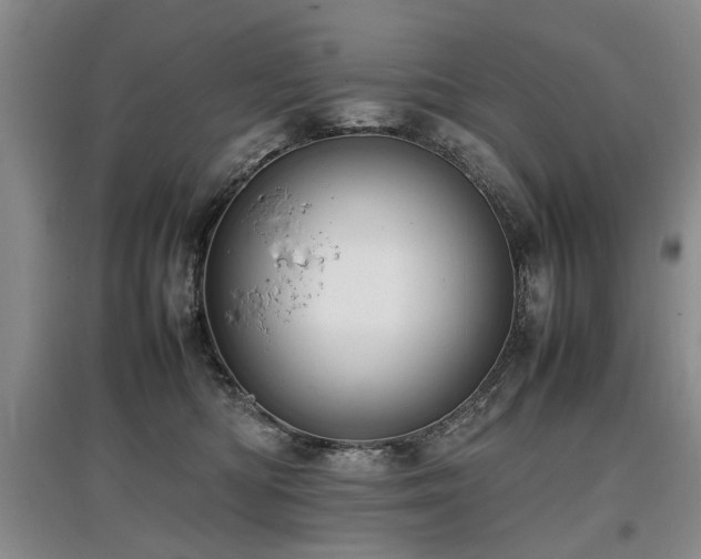 X0000097920422200803141445