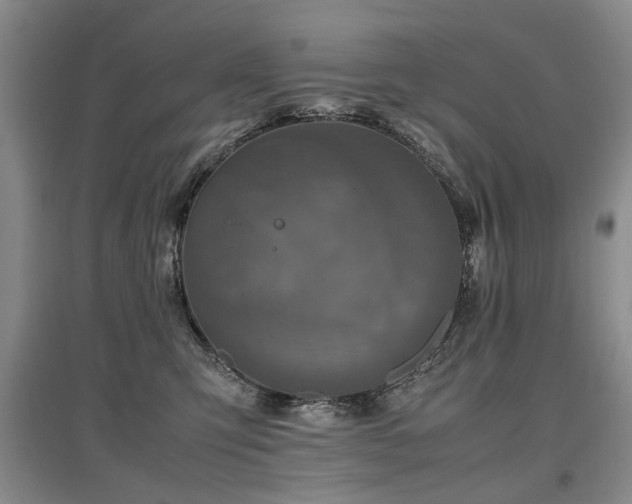 X0000097920423200803141445