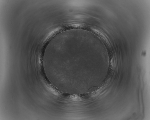 X0000097920424200803141445