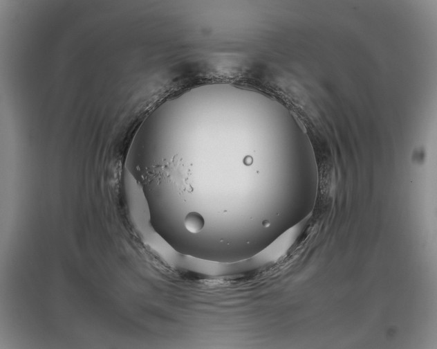 X0000097920425200803141445