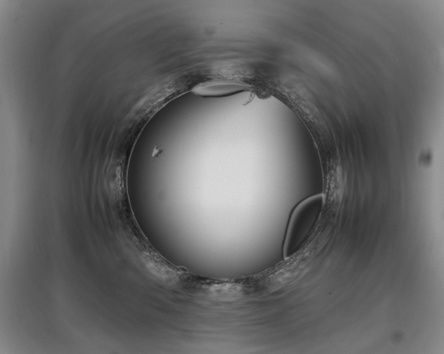 X0000097920426200803141445