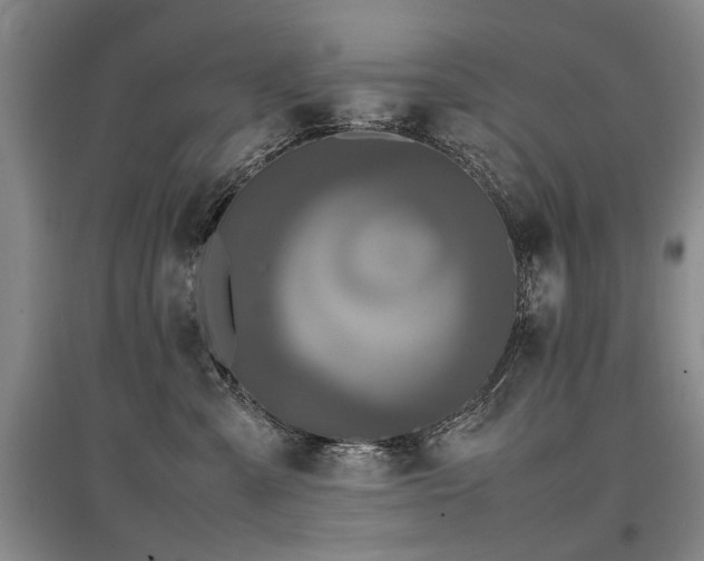 X0000097920427200803141445