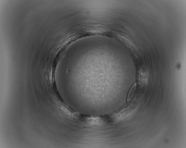 X0000097920428200803141445
