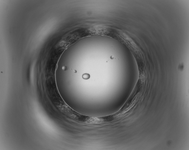 X0000097920429200803141445