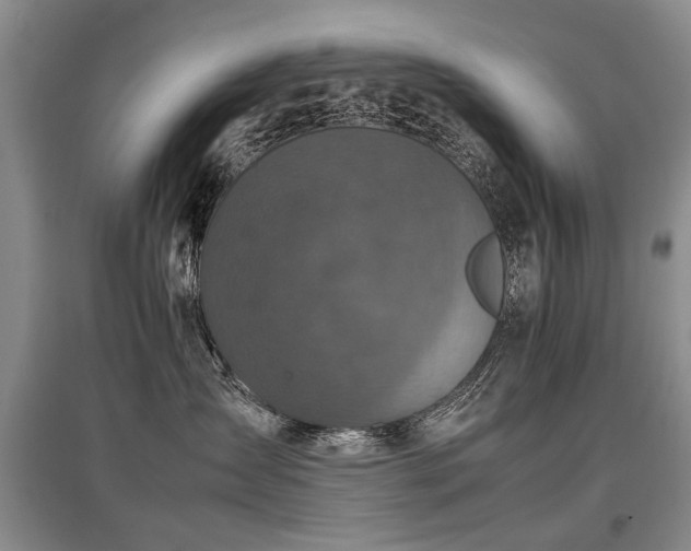 X0000097920431200803141445