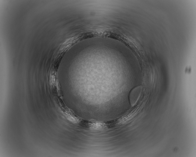 X0000097920432200803141445
