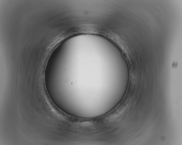 X0000097920433200803141445