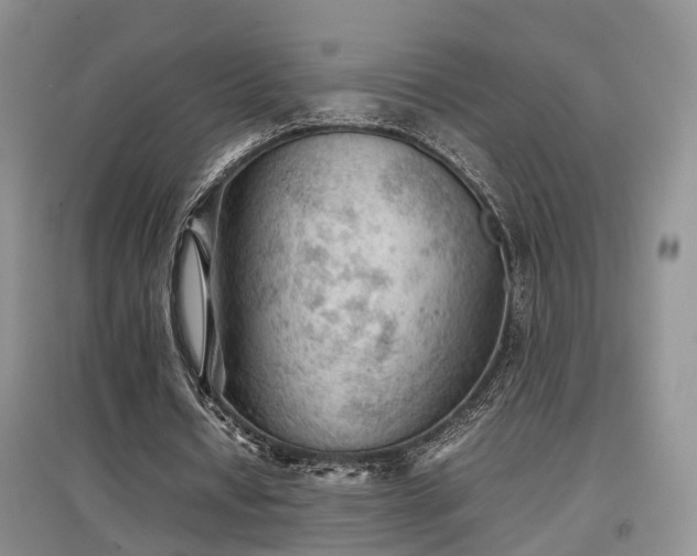 X0000097920434200803141445