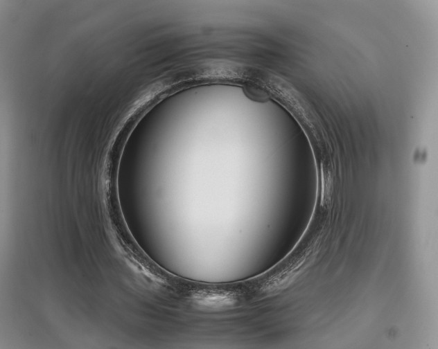 X0000097920435200803141445