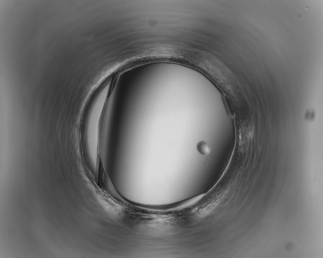 X0000097920436200803141445