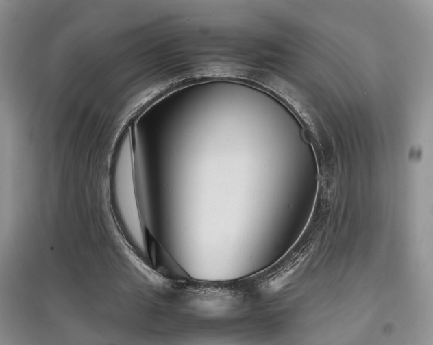 X0000097920437200803141445