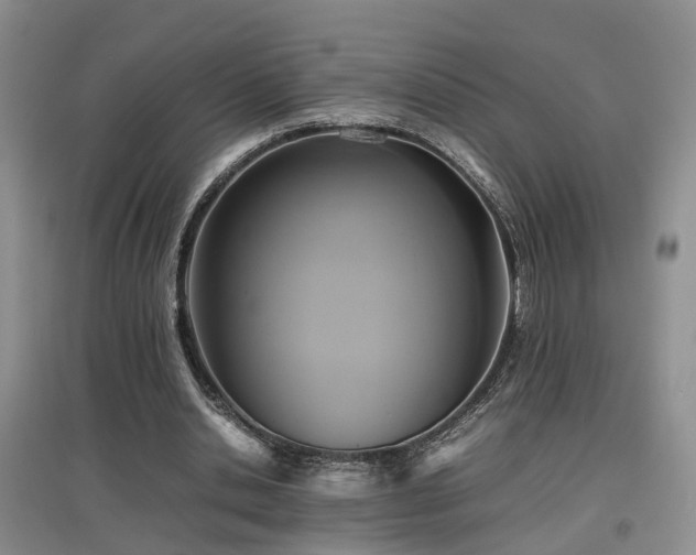 X0000097920438200803141445