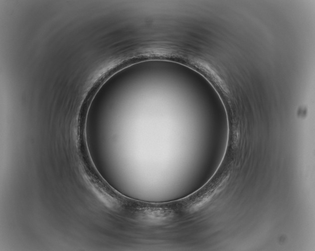 X0000097920439200803141445