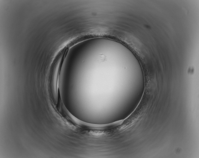 X0000097920440200803141445