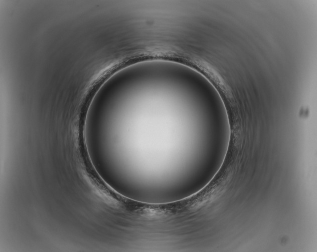 X0000097920442200803141445
